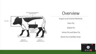 Beef Brunch Educational Series – What’s Bugging You Part 2 with Jason Holmes