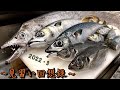 【高級鮨屋の仕込み】〜見習い回想録〜 3月の魚達