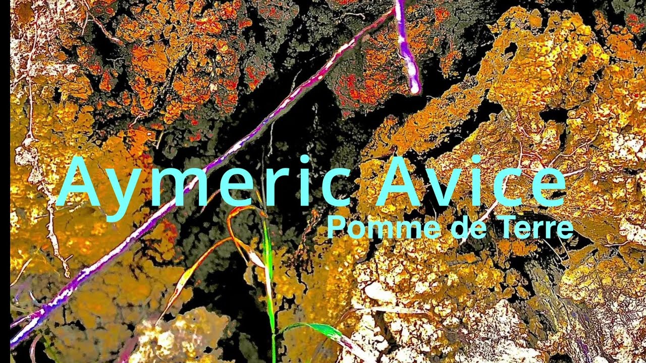 Pomme de Terre live @La Dynamo part 5