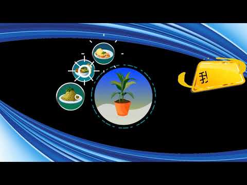 اعلان اعشاب يابانية