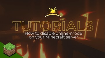 How to allow cracked clients to join your server