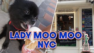 Dog Friendly Restaurants NYC: BEST Ice Cream in BROOKLYN at LADY MOO MOO! | BigCityBane | SnackGang