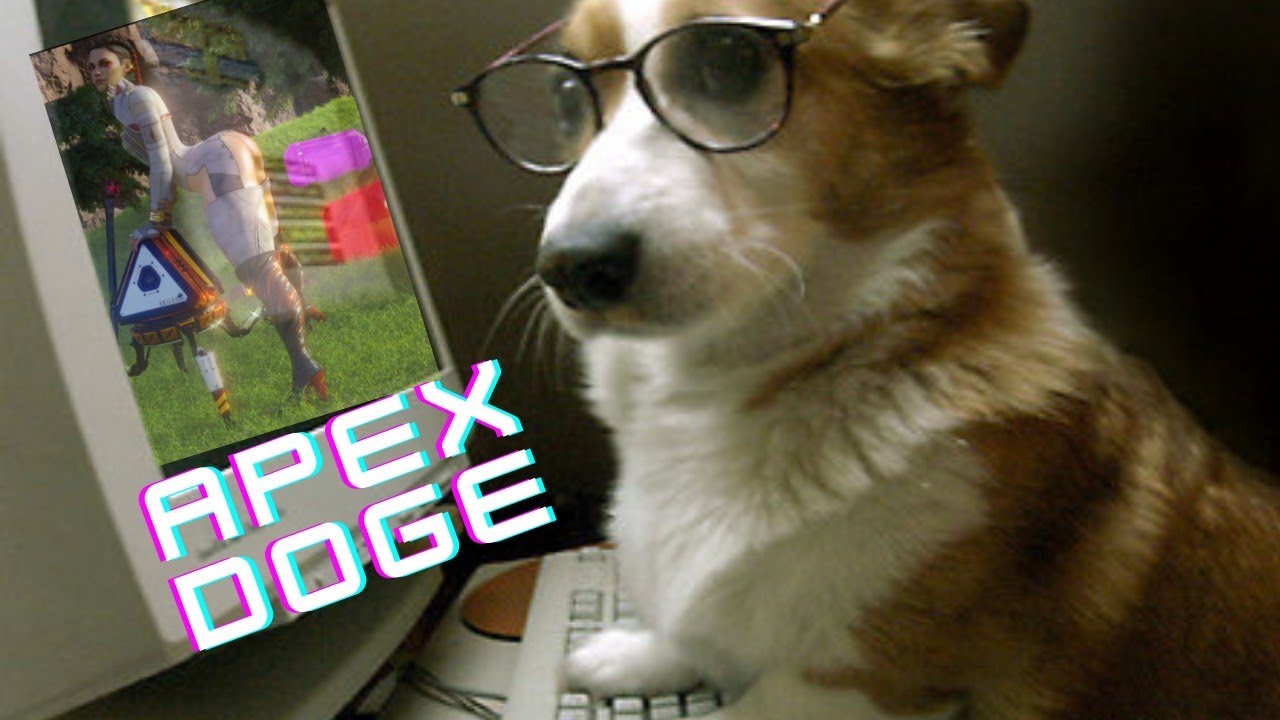 Doge Rage Quits Apex Legends  