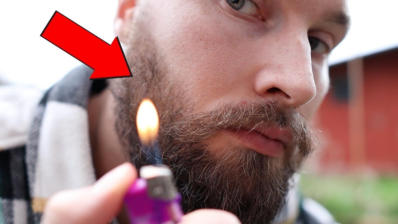ПОСЛЕ ЭТОГО ВЫ НИКОГДА НЕ БУДЕТЕ СМОТРЕТЬ НА БОРОДЫ ПРЕЖДЕ, ЧЕМ ПРЕЖДЕ