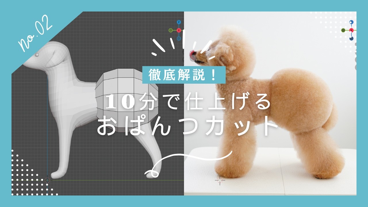 Finish in 10 Minutes] Toy Poodle 