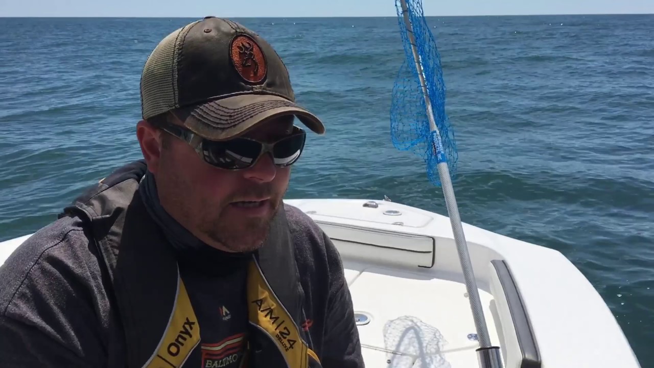 Fishing Season 2016 - Ocean City, Maryland - YouTube