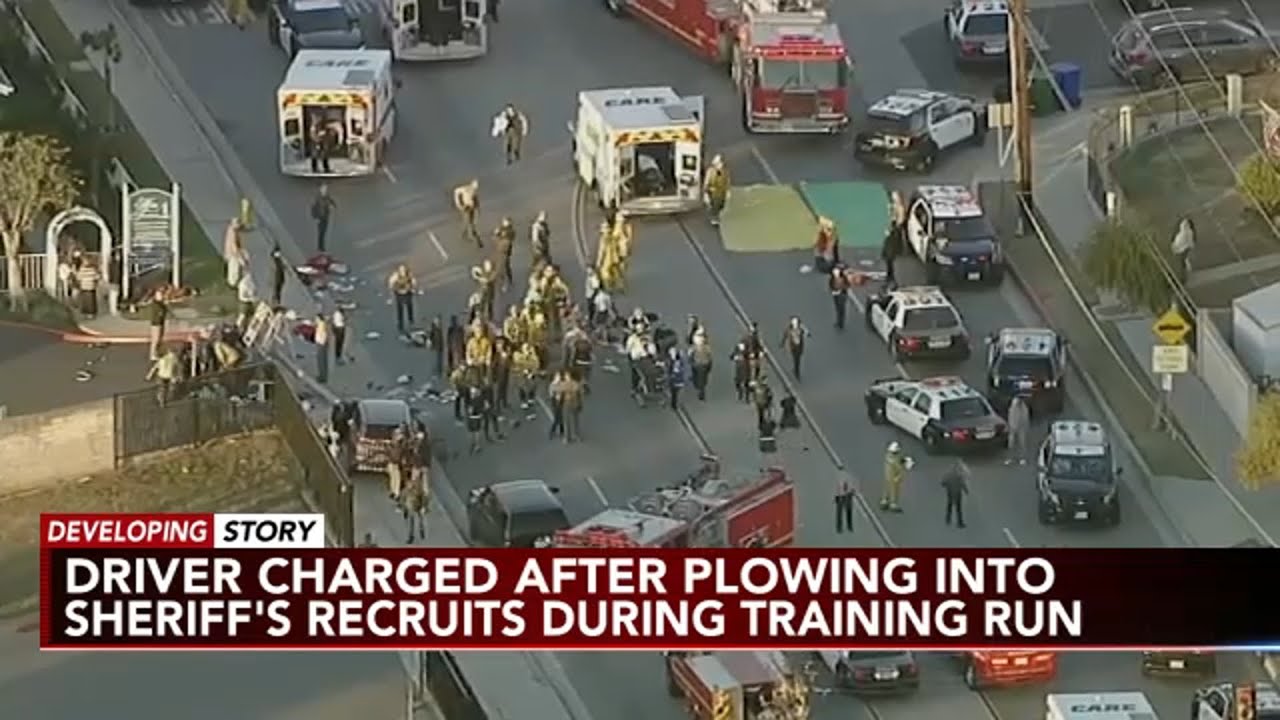 Wrong-way driver arrested after crashing into 25 police recruits out ...