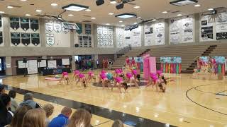 Barbie ANHS Dance Team
