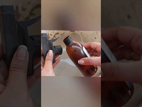 عندي فاش في كل مكان اقضي عليه ازاي حشرات الحمام