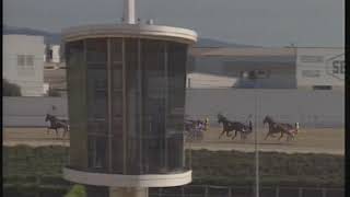 Vidéo de la course PMU PREMI ENGHIEN