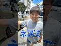 N-VANの中に巨大なネズミが潜んでると思ったら…