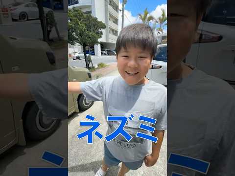 N-VANの中に巨大なネズミが潜んでると思ったら…