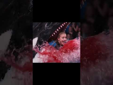 جيسيكا فيديو حقيقي هاذه مو ذكاء اكسبلور ترند دويتو تصميم فيديوهات  لايكات تيك توك متابع