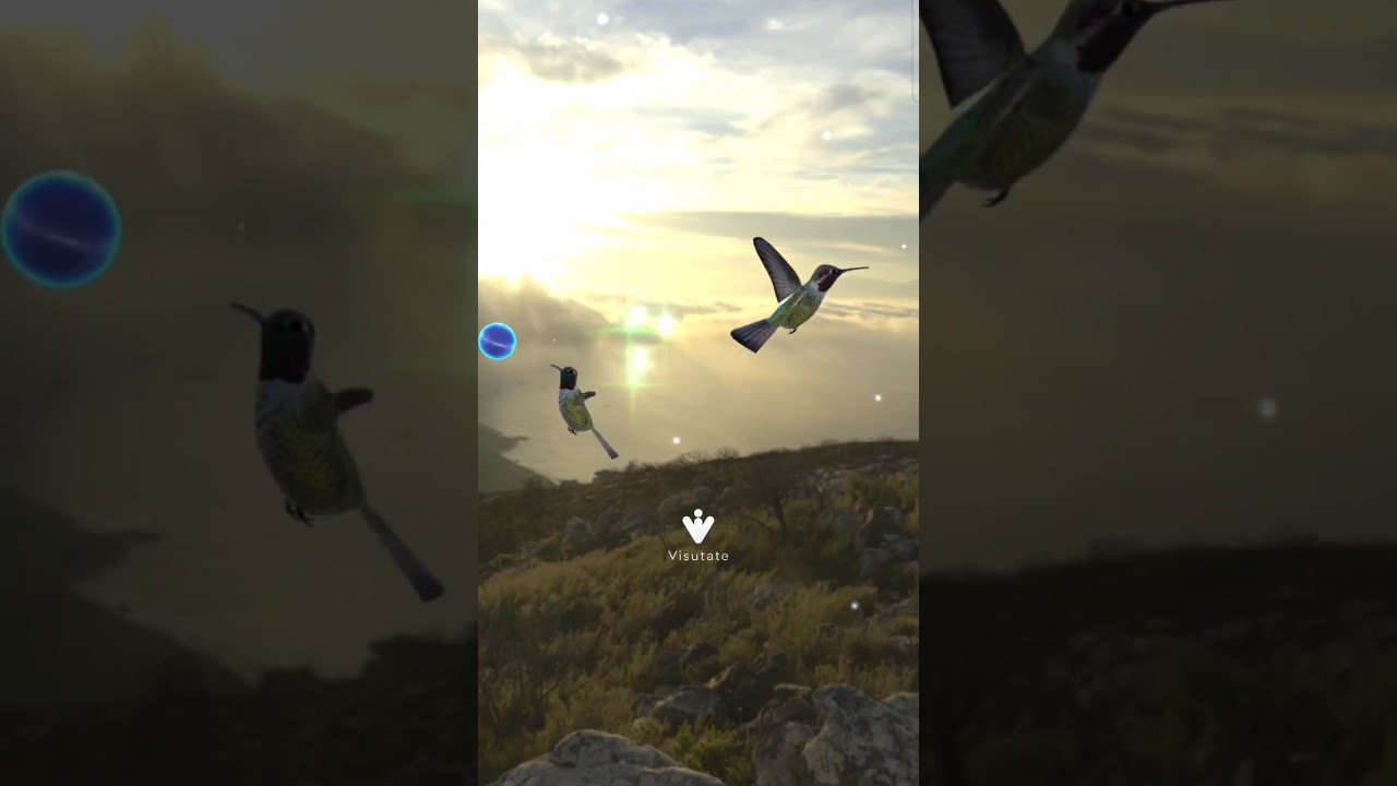 🌈Visutate: Immersive wellness app for better sleep, relaxation, and manifestation💫✨ 