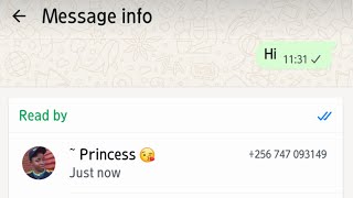 Как узнать и увидеть, кто прочитал ваше сообщение в группе WhatsApp легально screenshot 5
