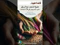 فائدة طبية طبخ الشعير مع السلق فضيلة الشيخ عبدالرزاق البدر حفظه الله اقتباسات سلفية Shorts 
