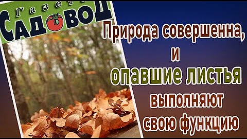 Природа совершенна, и ОПАВШИЕ ЛИСТЬЯ выполняют свою функцию
