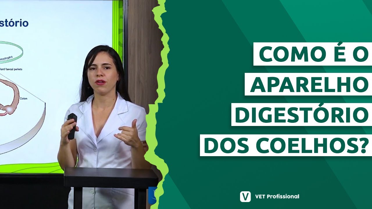 Aparelho digestório de coelhos