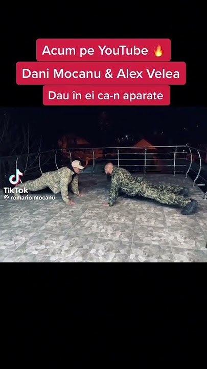 Dani Mocanu și Alex Velea TikTok