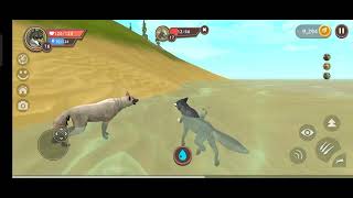 wildcraft game .Kurt oyunu tavşan avı screenshot 2