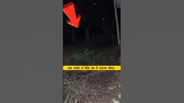 Living proof of Shri Krishna ji 😨 A boy installed a camera in Nidhivan 📸 #shortsfeed #factsinhindi