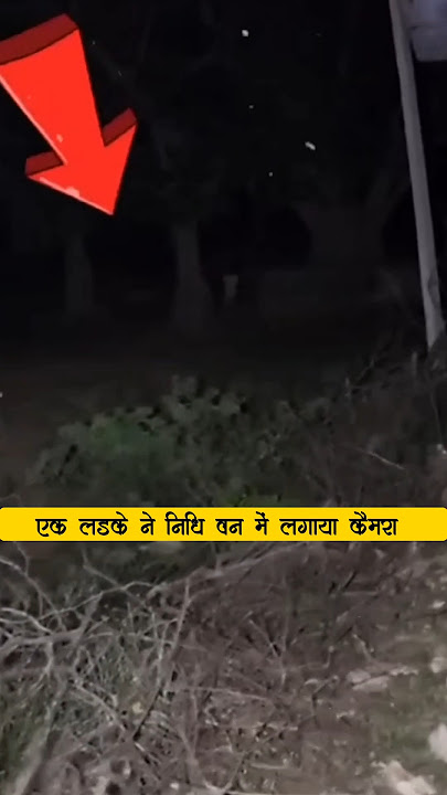 श्री कृष्ण जी के जिंदा सबूत 😨 एक लड़के ने निधिवन में लगाया camera 📸 #shortsfeed #factsinhindi