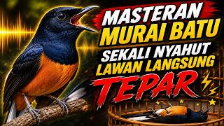 Lawan Auto Tepar ! INI DIA MASTERAN MURAI BATU FULL ISIAN PALING MEWAH‼️