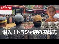 超ユニーク！これがトラジャ族のお葬式！まさに異文化！｜他、巨石文明の遺跡・絶景南国ビーチ・幻の猿タルシス