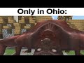 Only in Ohio (Minecraft Cruse Edition) 💀💀