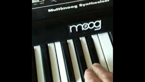 Multimoog