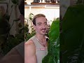 You know who loves my plants more than me?? Pests 🤡 This is my list of the 4 types of houseplants