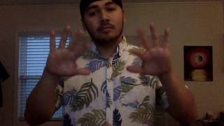 Gilbert Carmona ASL 2 Expressive Video Assignment