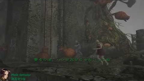 Meiō Setsuna - Biohazard Outbreak File # 2 Online (obsrv.org) - Round#382: FB - VH