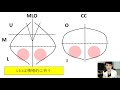 左右差を見るときのポイント　マンモグラフィを読影するときに目を付けるところはL（下）とO（上）！