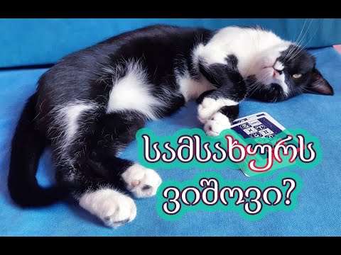 სამსახურს ვიშოვი?