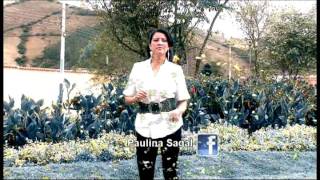 Paulina Sagal Dicen Que Soy Una Borracha Video Oficial