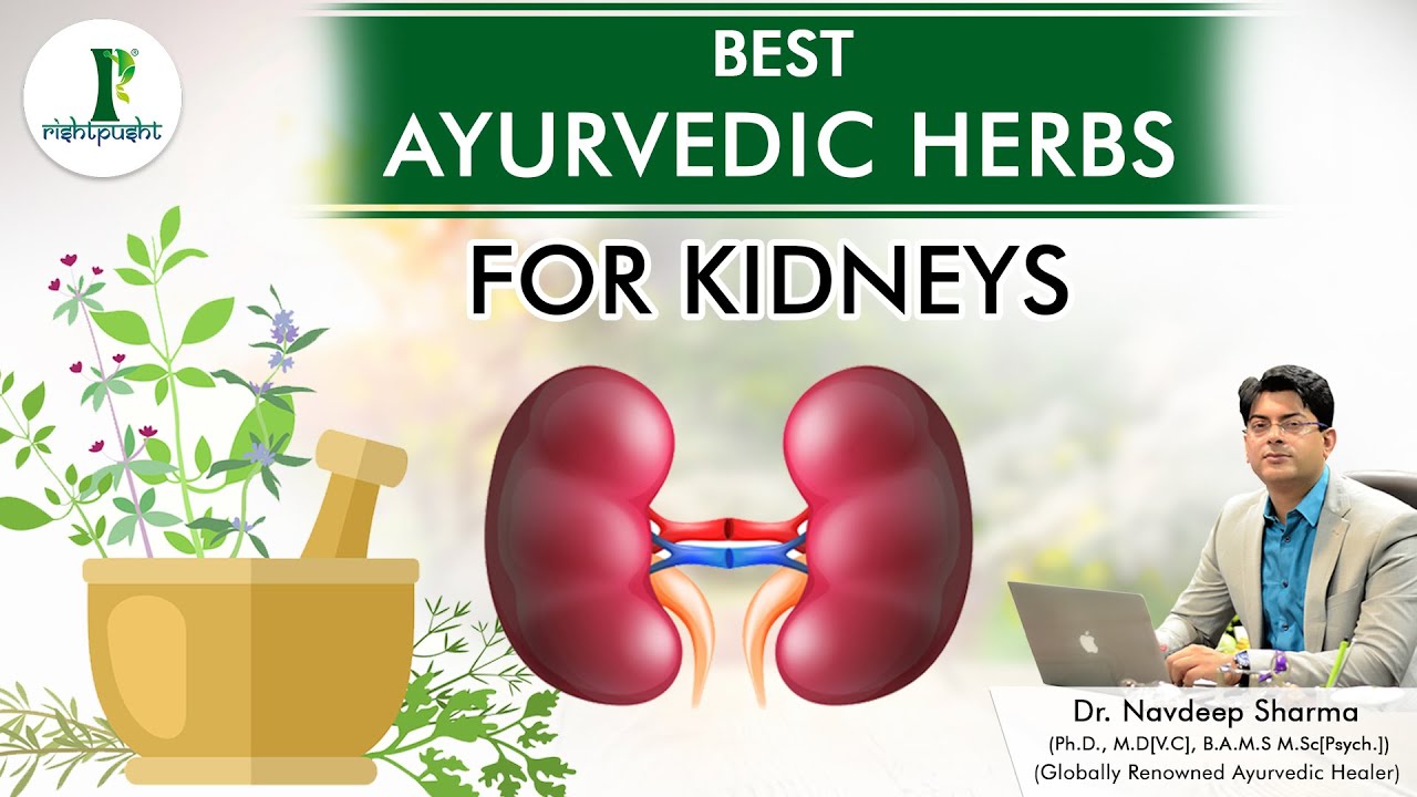 (Live) Best Ayurvedic Herbs For Kidneys Dr. Navdeep Sharma YouTube