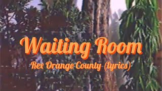 Rex Orange County- Waiting Room