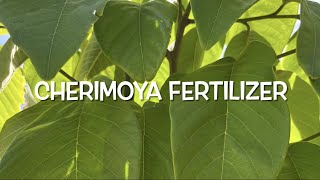 Cherimoya Tree Fertilizer for Fast Healthy Growth, Even in Hot Climates!