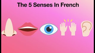 Lets learn The 5 Senses in French with Baby - Learning French by Learn French with Nila