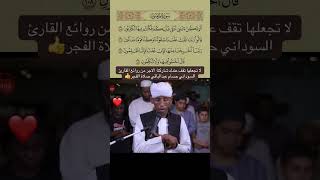 صوت كأنه من الجنة القارئ حسام عبده الباقي سمعها