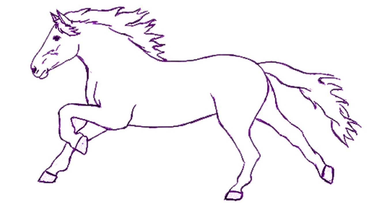 How to Draw a Horse Step by Step Draw a Horse Easily for