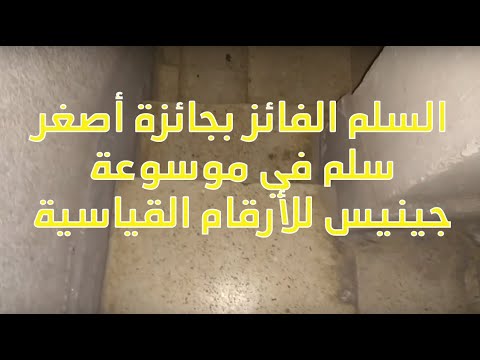 أصغر قلبة سلم هتشوفها في حياتك