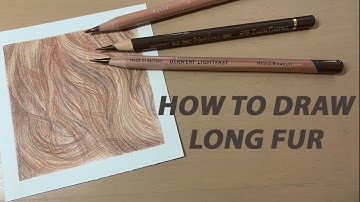 How to draw long, wavy fur using coloured pencils - Fur tutorial series