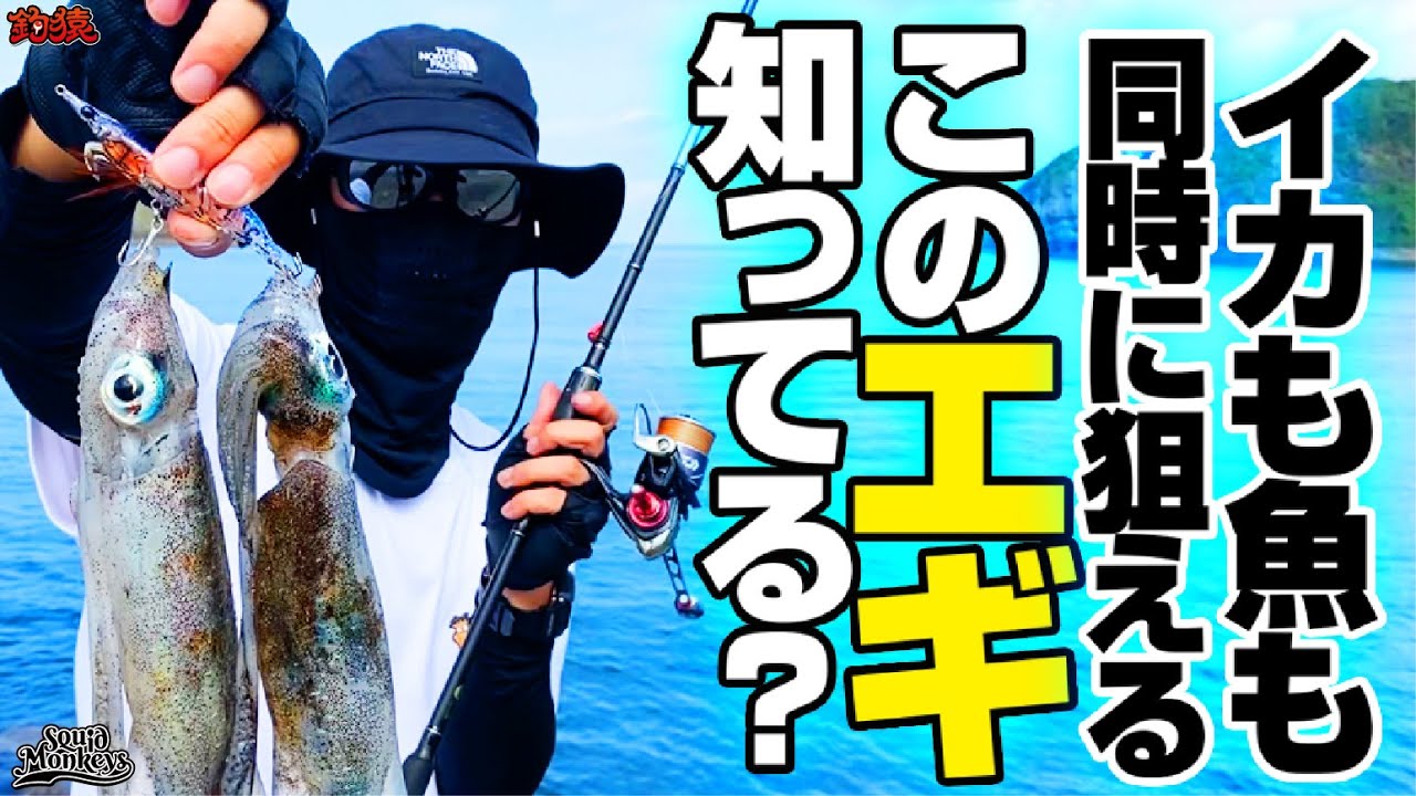 このエギがやばい 魚もイカも同時に釣るエギングが存在した Youtube