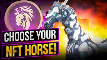 💎 SteedToken – Get to know the digital financial market, tokenomics and buying a token!