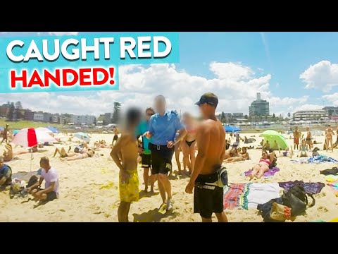 Vídeo: Spycam En El Albergue Bondi Beach