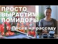 ПРОСТО вырастим ПОМИДОРЫ. 🍅 1. Посев на рассаду