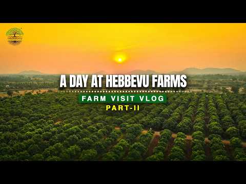 Building a Future Ready Farm Ecosystem at Raya Farms
