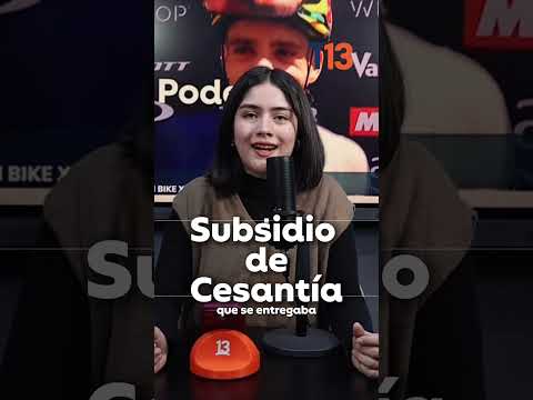 ¿Estás cesante? Revisa estas 4 ayudas económicas en octubre